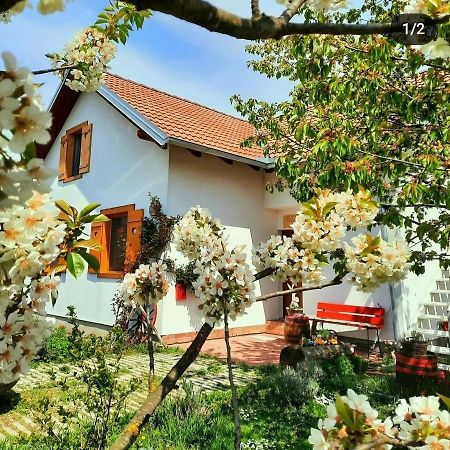 Kuca Za Odmor "Dva Srca" Hotel Ceminac Exterior photo